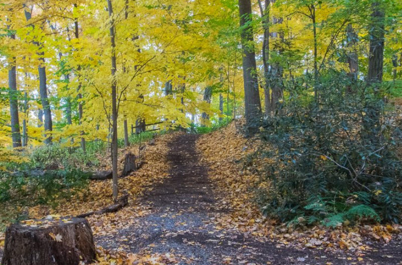 Cora Hartshorn Arboretum and Bird Sanctuary, United States